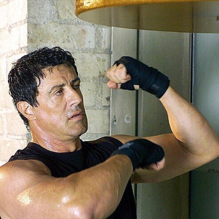 Sylvester Stallone Bio, Facts and Family