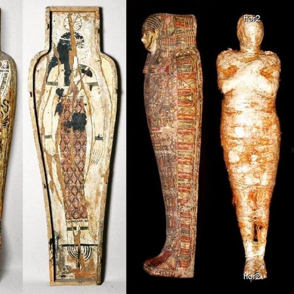 Scientists have discovered world's first pregnant Egyptian mummy ...