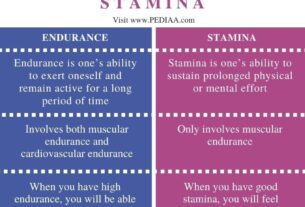 What Is Stamina? Increase Your Stamina