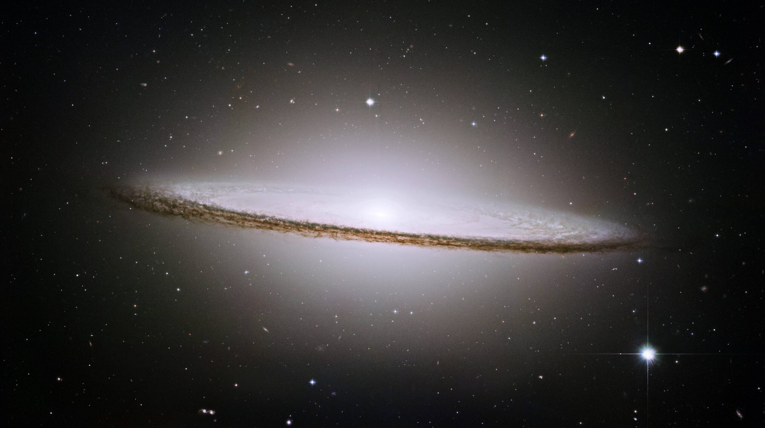What Percentage of the Mass of Spiral Galaxies is in Dark Matter?