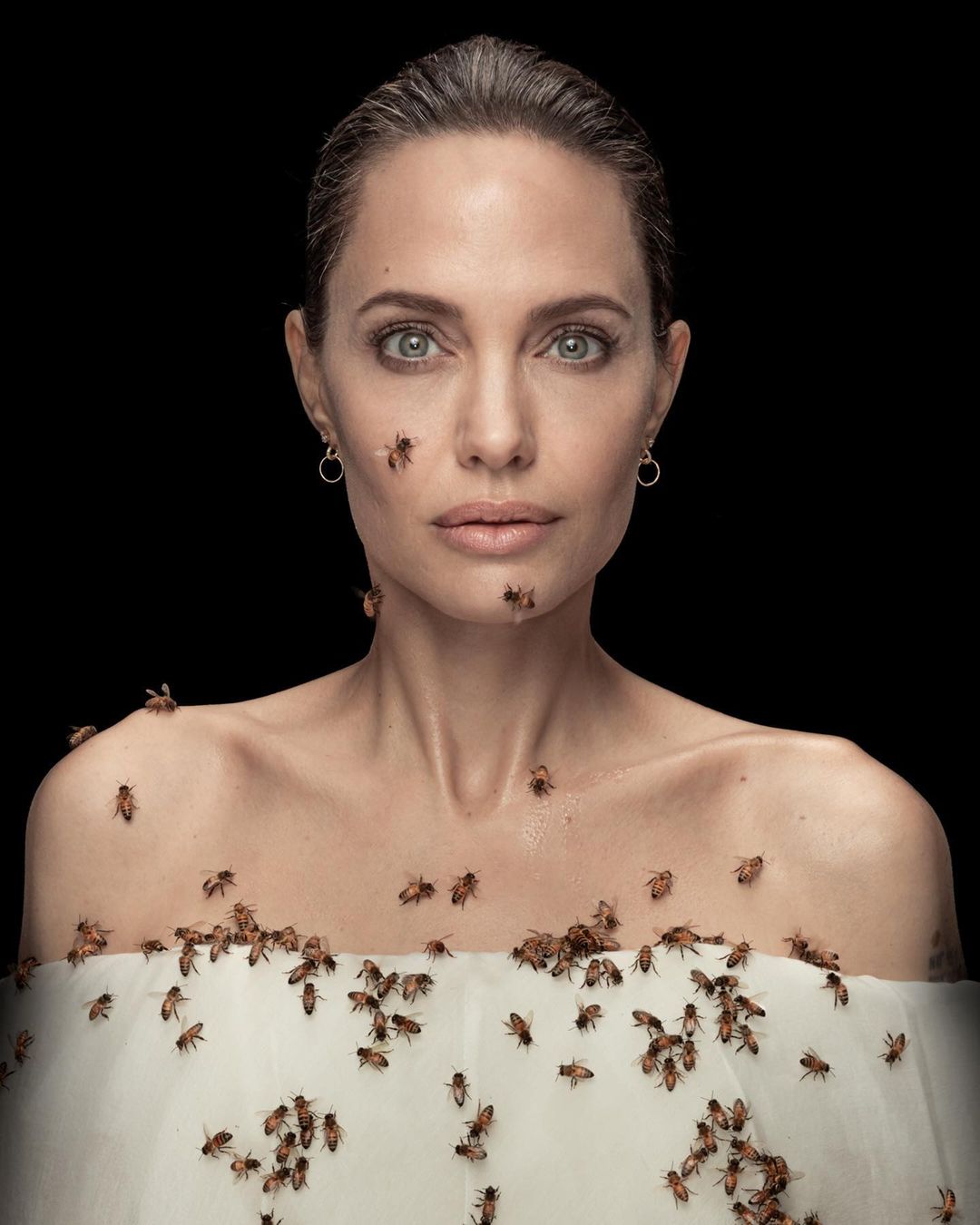 Angelina Jolie: Photographed Included in bees