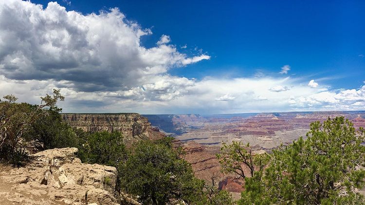 Accidental death at Grand Canyon Skydive