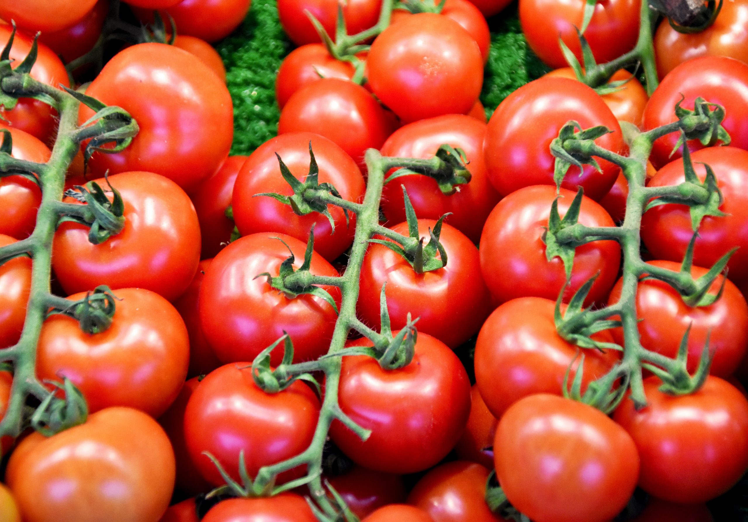 For a heat wave, tomatoes are the perfect food to eat without cooking.