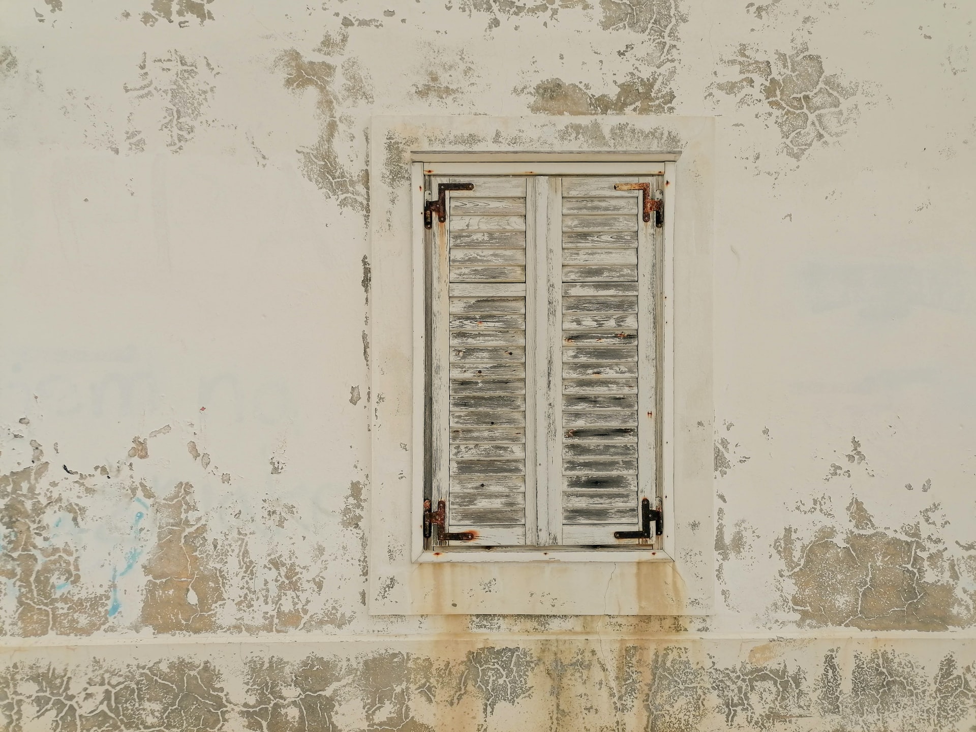 Have A Home Mold Inspection: It's One Of The Most Important Things You Should Do