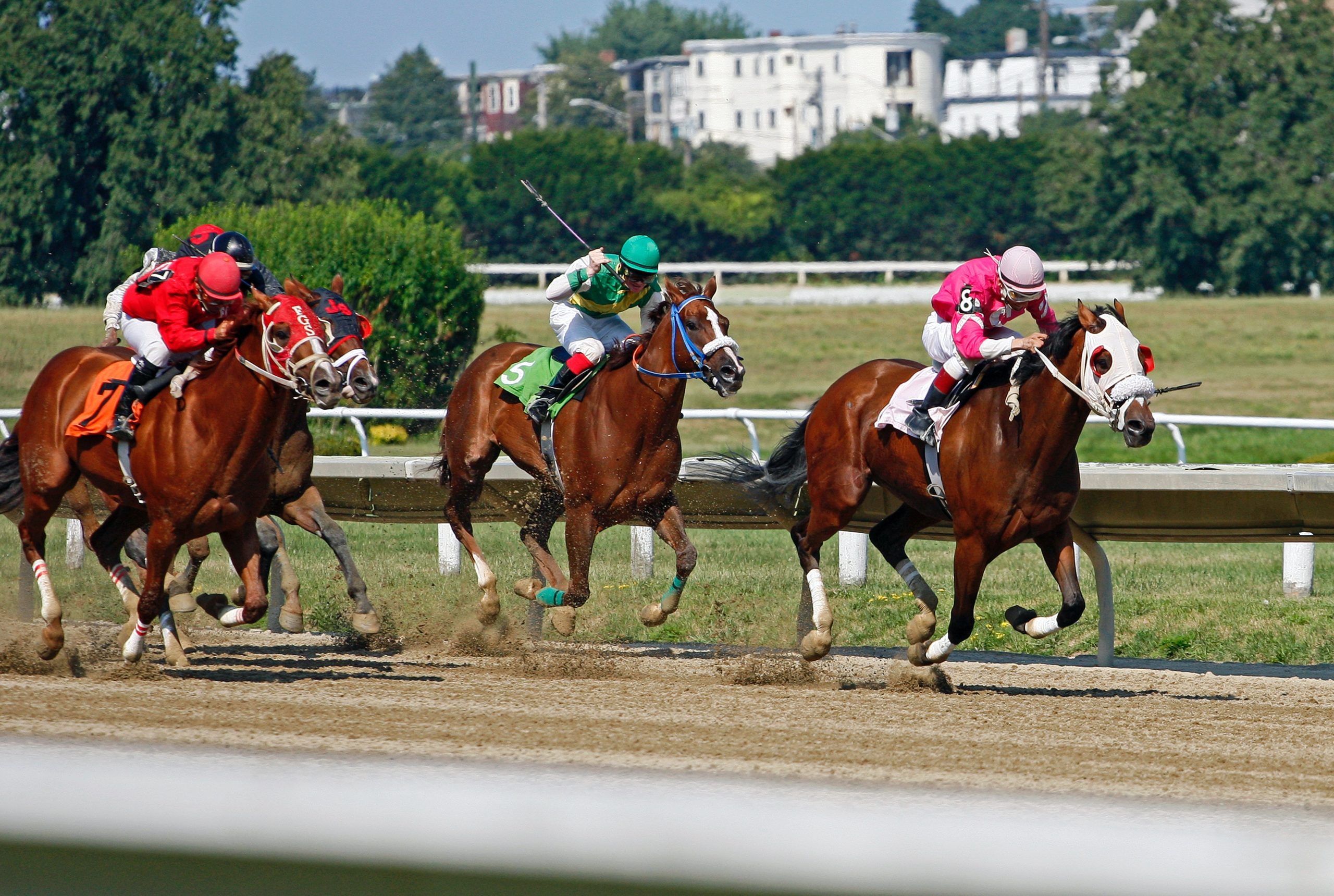 Filly winning the preakness stakes