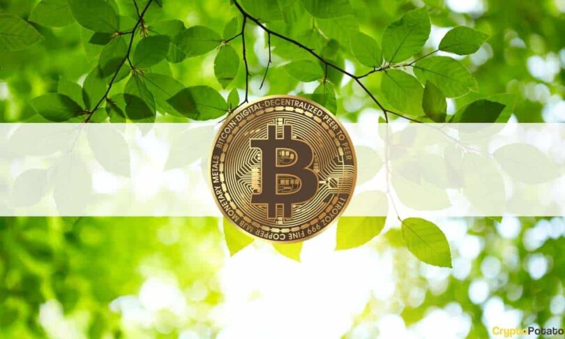 Bamboo Aims to Make Crypto Invest-ing More Inviting
