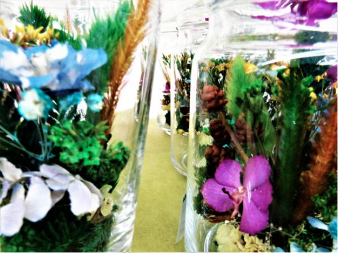 Preserved Flowers: Everything you need to know