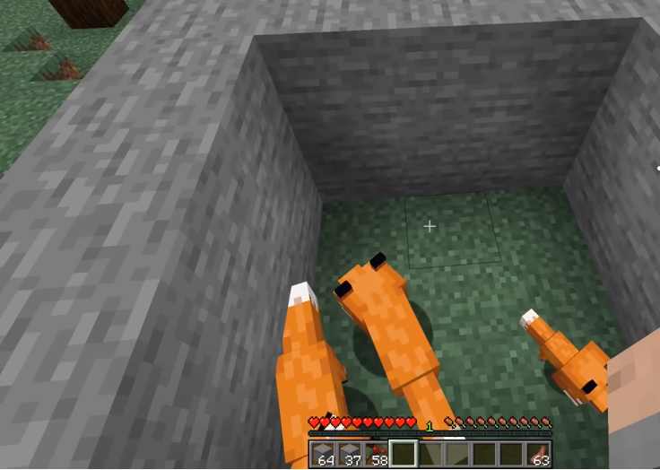 How To Tame A Fox In Minecraft(Three Most Working Methods)