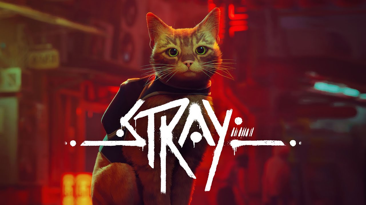 Stray cat life in robot lost city