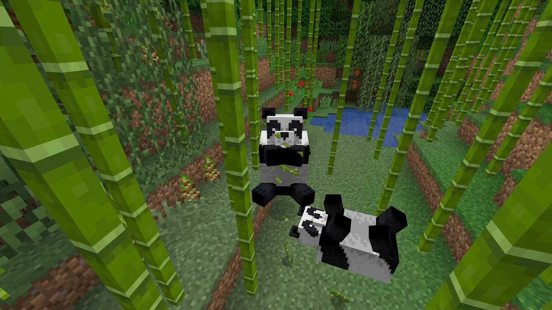 Where to Find Pandas in Minecraft