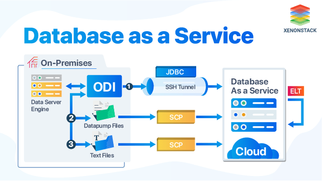 Which Is The Best Database Service Provider For Your Business?