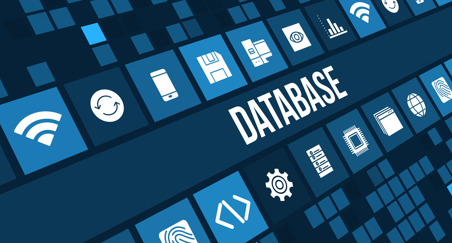 Database Service Providers: What To Look For and Where To Find The Best Ones