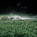 The watering lawn at night myth