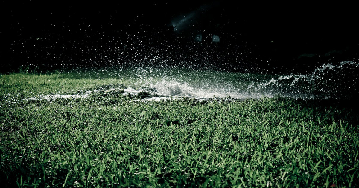 watering grass at night myth