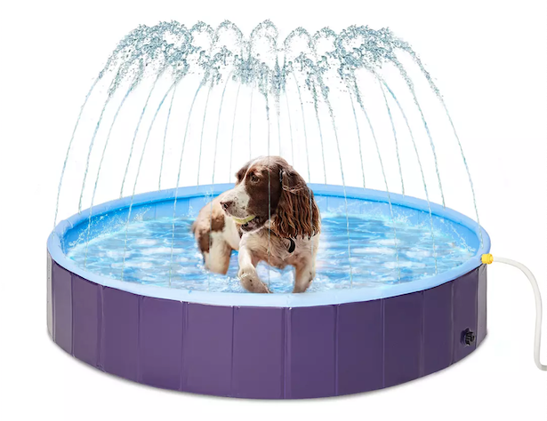Ez2pet Dog Sprinkler Pool and Dog taking bath in it