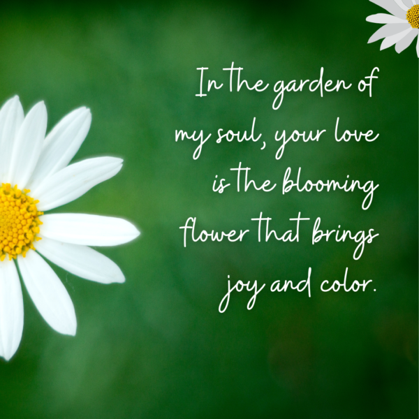 4 In the garden of my soul, your love is the blooming flower that brings joy and color.