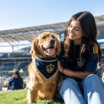 LA Galaxy Bring Harry Potter Night and Pups at the Pitch to Carson on September 12
