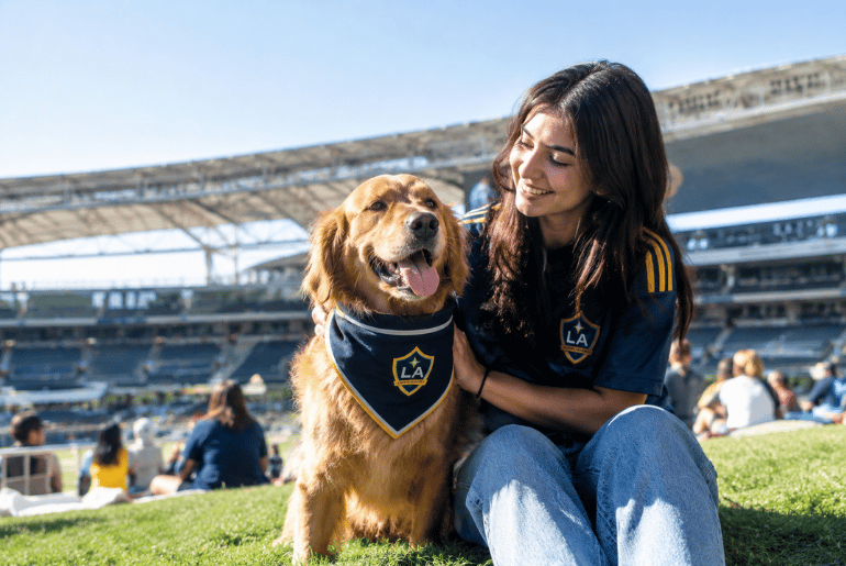 LA Galaxy Bring Harry Potter Night and Pups at the Pitch to Carson on September 12