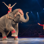 Ringling Bros. Brings The Greatest Show on Earth to Sacramento