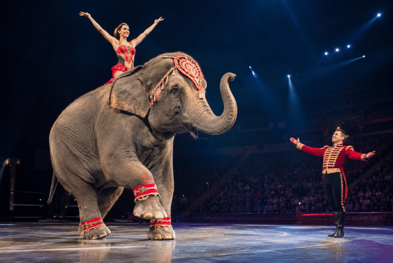 Ringling Bros. Brings The Greatest Show on Earth to Sacramento