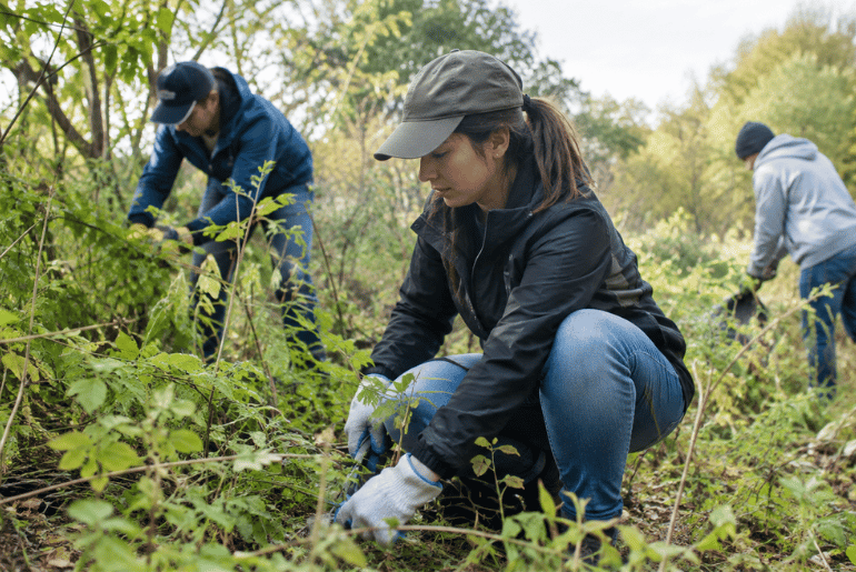 Volunteers Set to Restore William Berry Woods for National Public Lands Day
