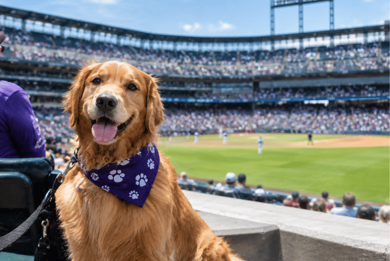 Rockies Bring Bark at the Park to Coors Field for September 22 Game